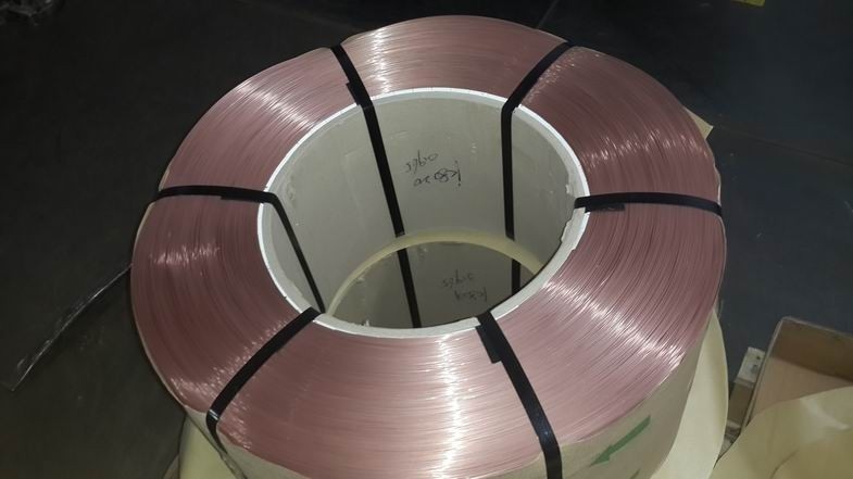 10mm kohlenstoffarmer Stahldraht für den Flächen-hochfesten Messing überzogen